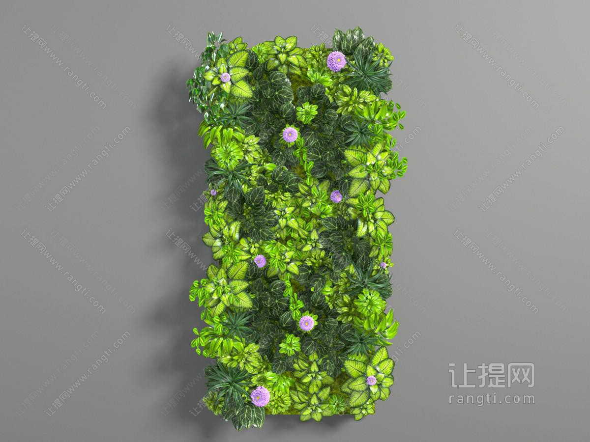 开着花朵的绿色植物墙