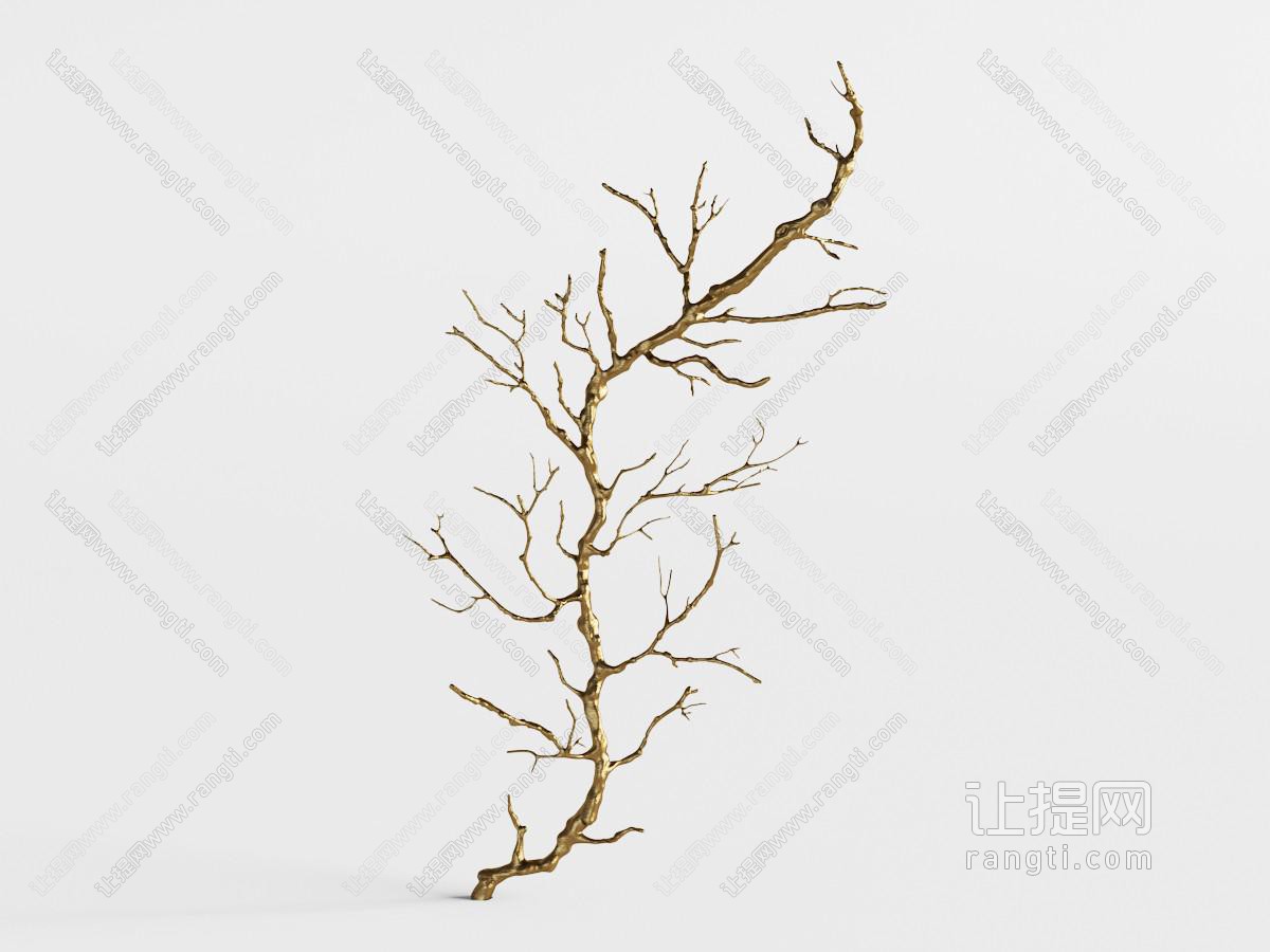 没有树叶的干枯树干