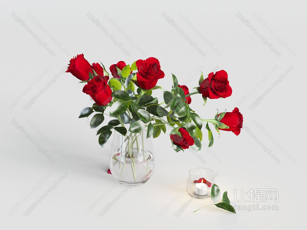 玻璃花瓶里的红色玫瑰花瓶花卉
