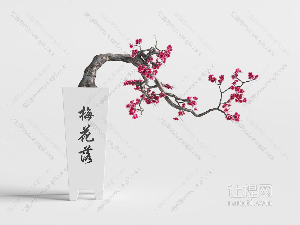中式方形陶瓷花瓶里的梅花