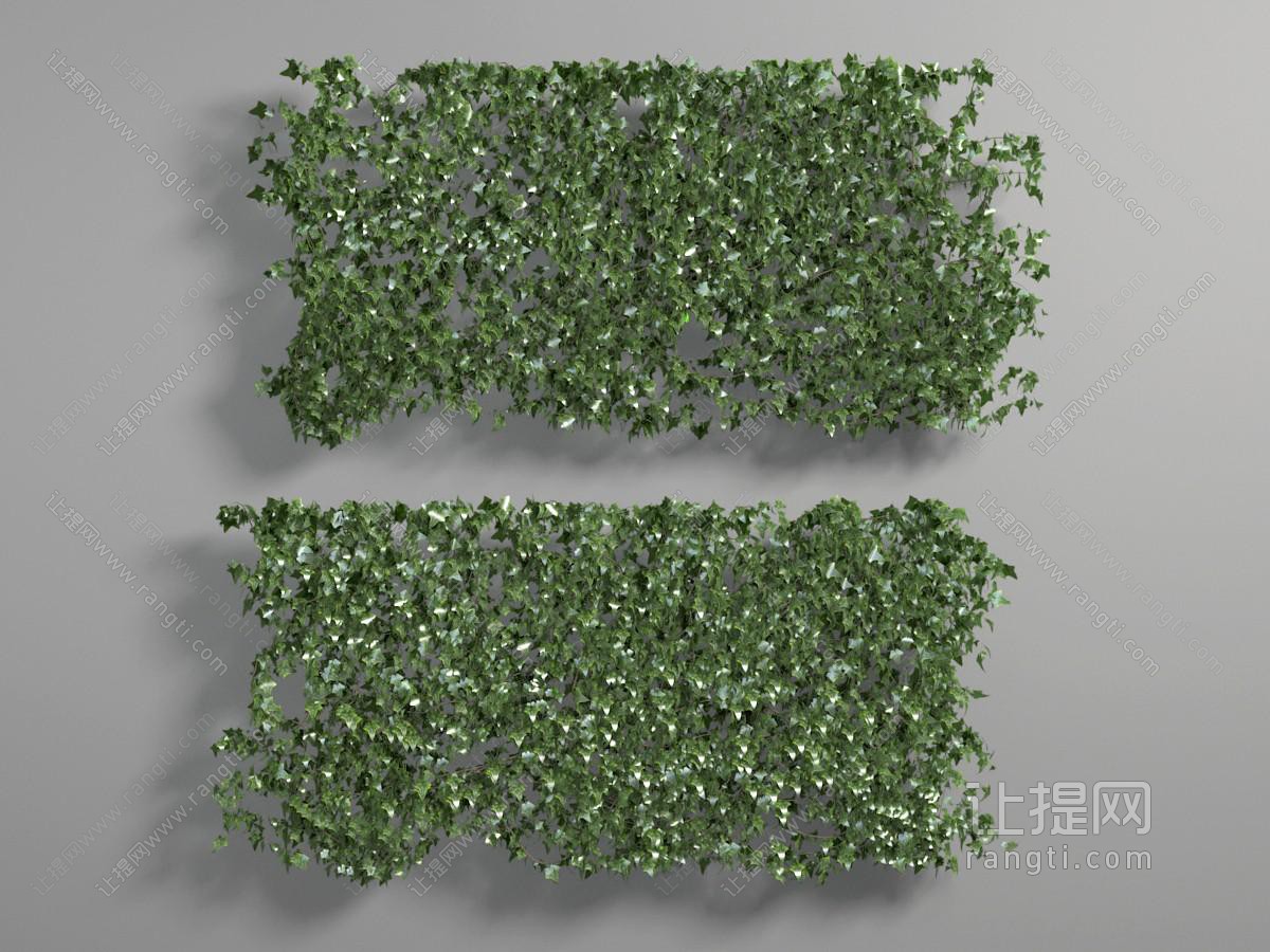装饰画框绿植墙