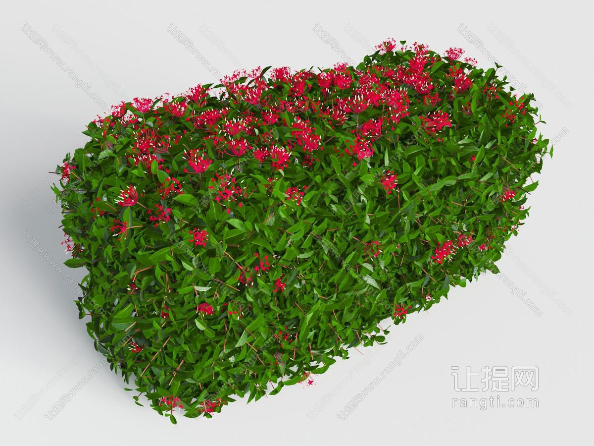 花草绿植