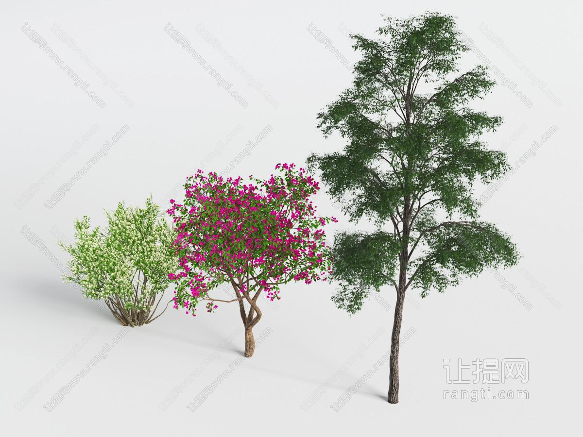 花树、灌木和槐树景观树木