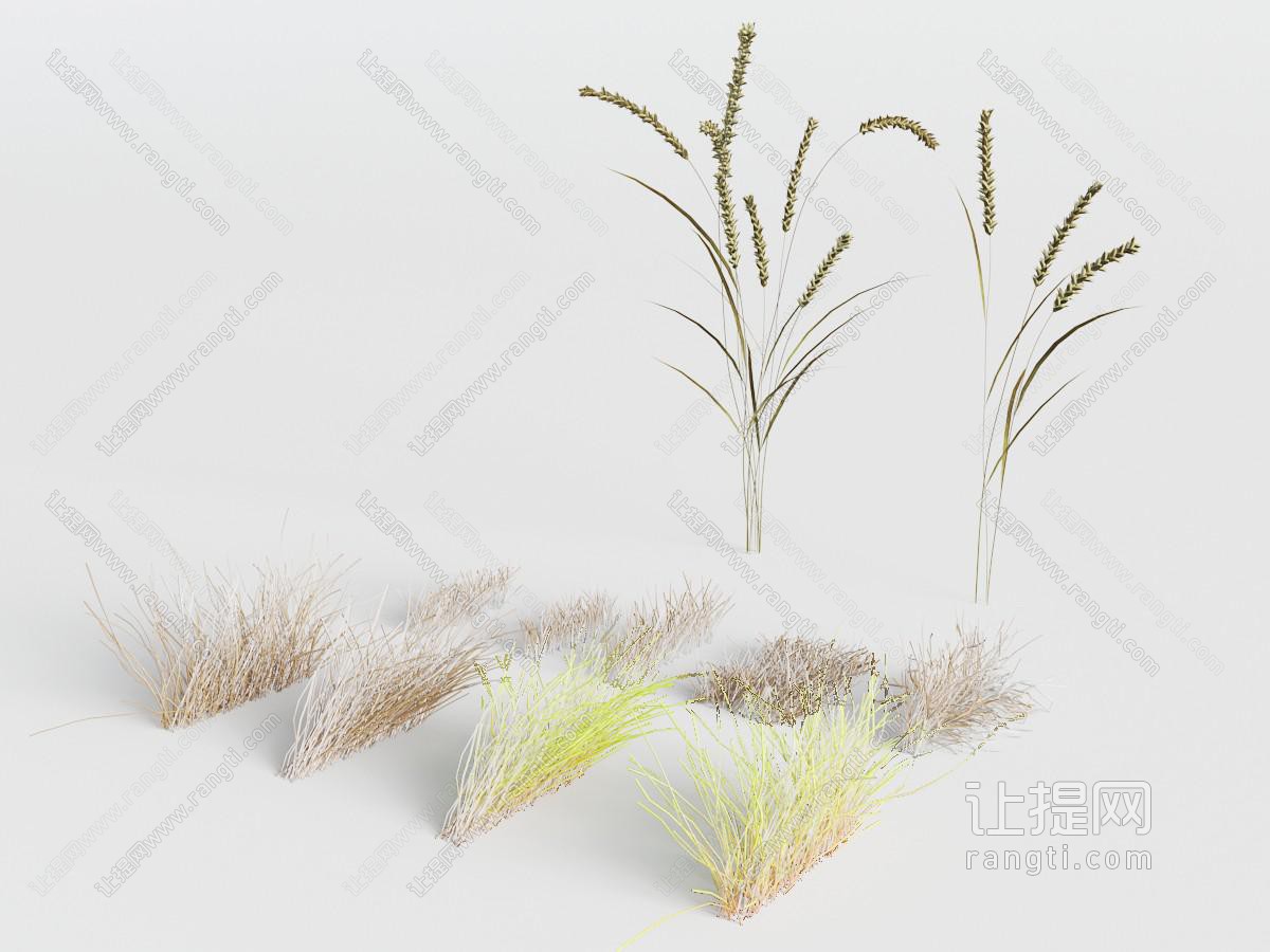 几处花草植物