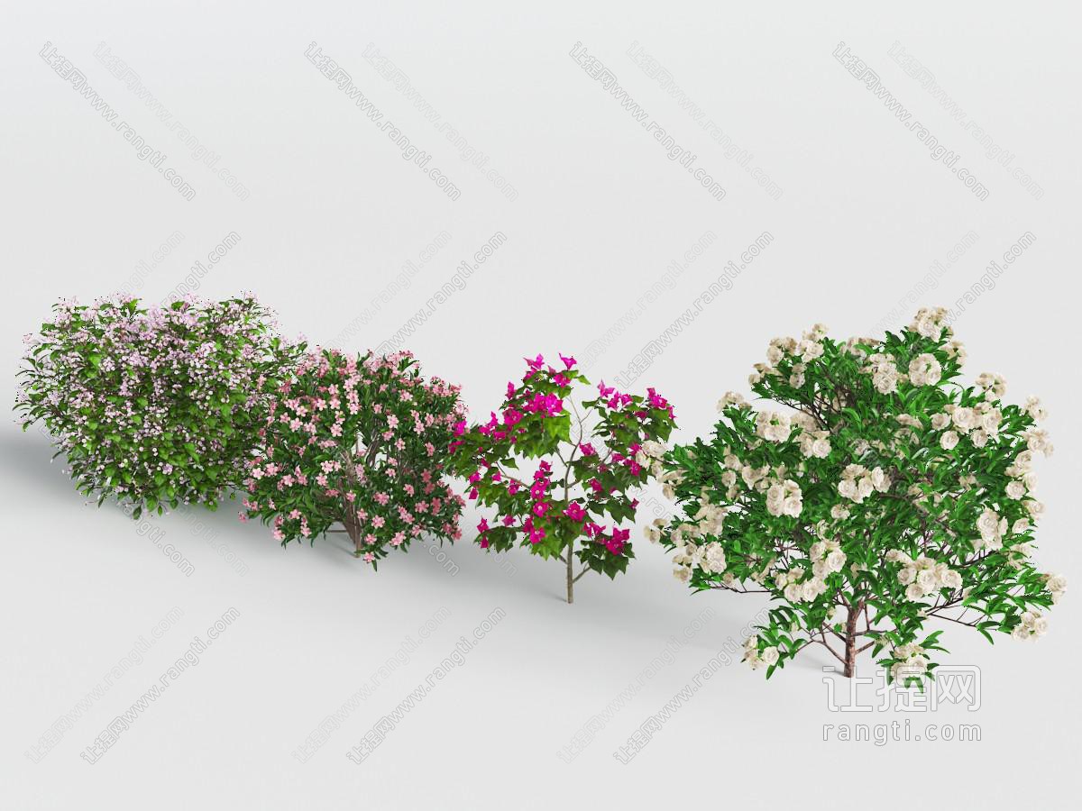 开满粉色、红色和白色花朵的花草植物