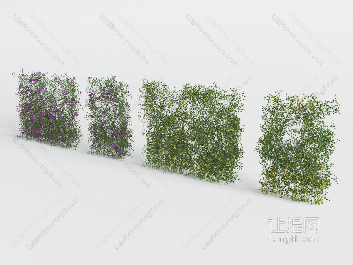 绿植墙、植物