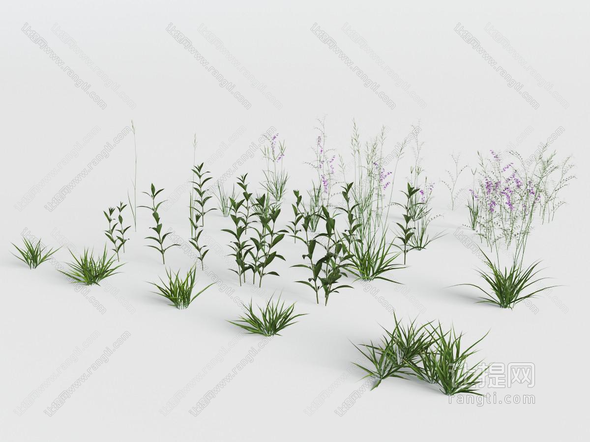 花草绿植