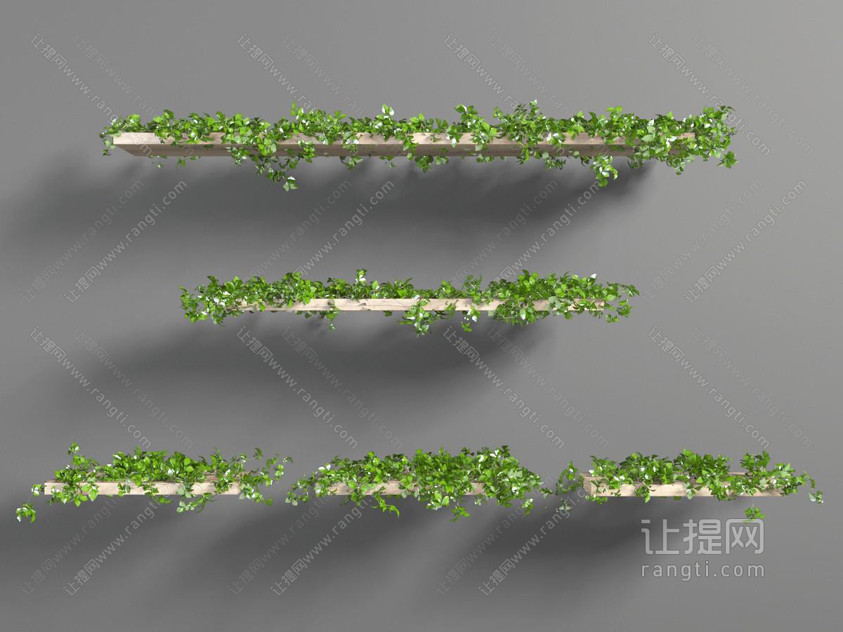 现代实木隔板上的藤蔓植物