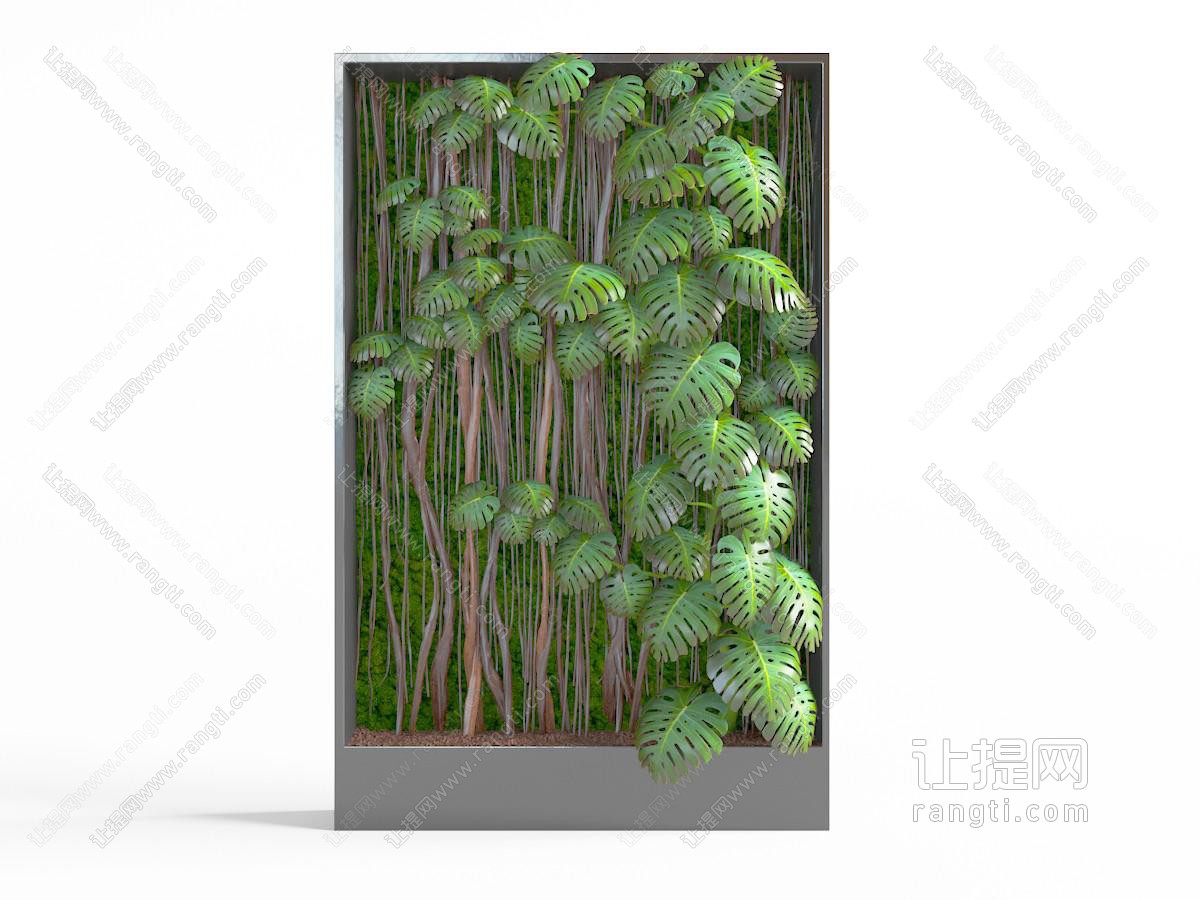 北欧灰色方框里的植物墙