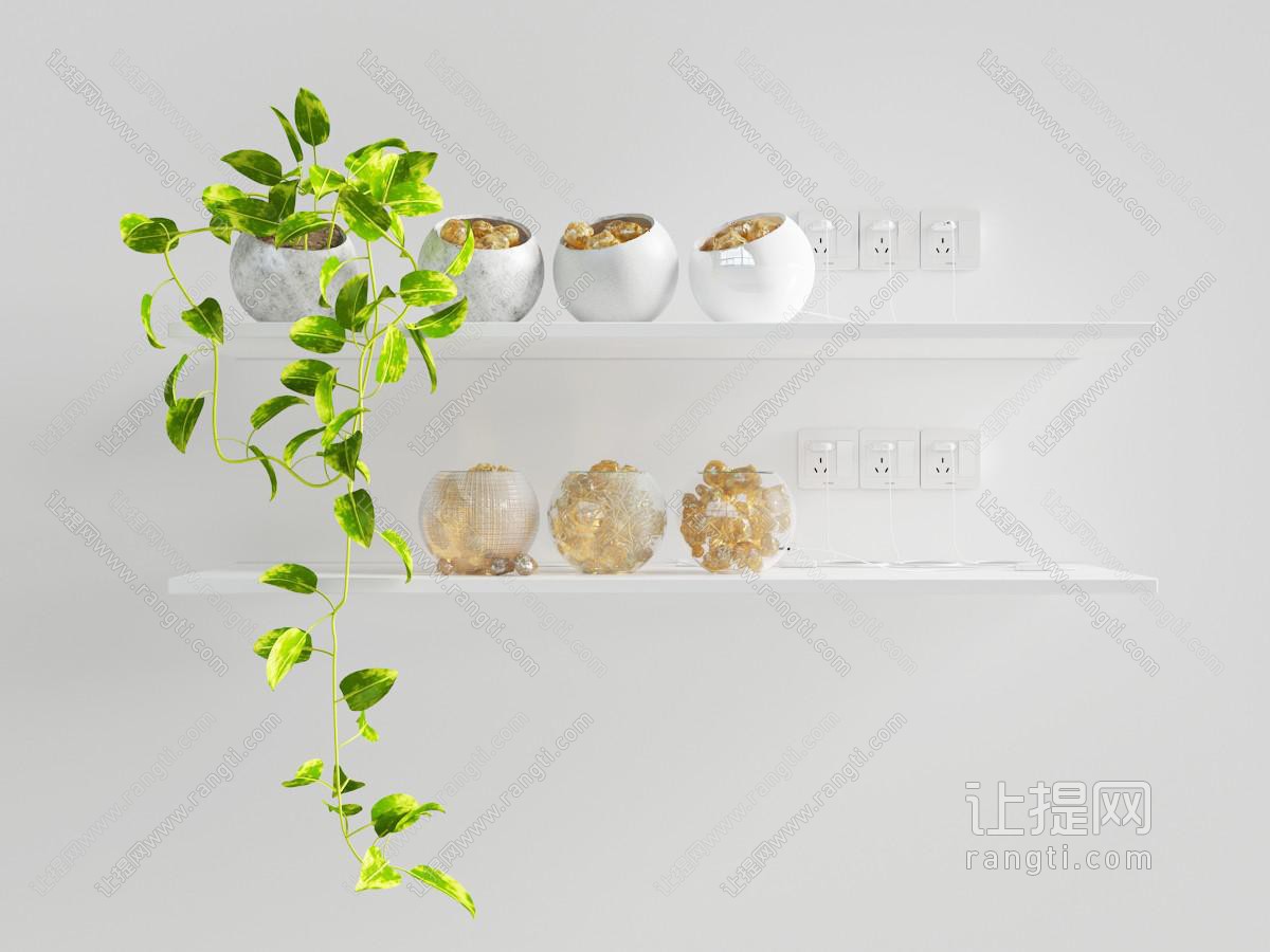 现代置物架上的盆栽藤蔓植物