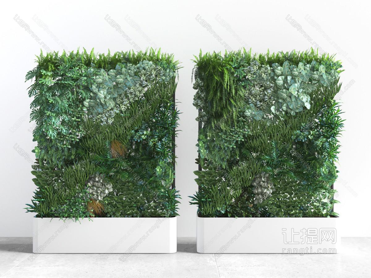 重在花池中的植物墙