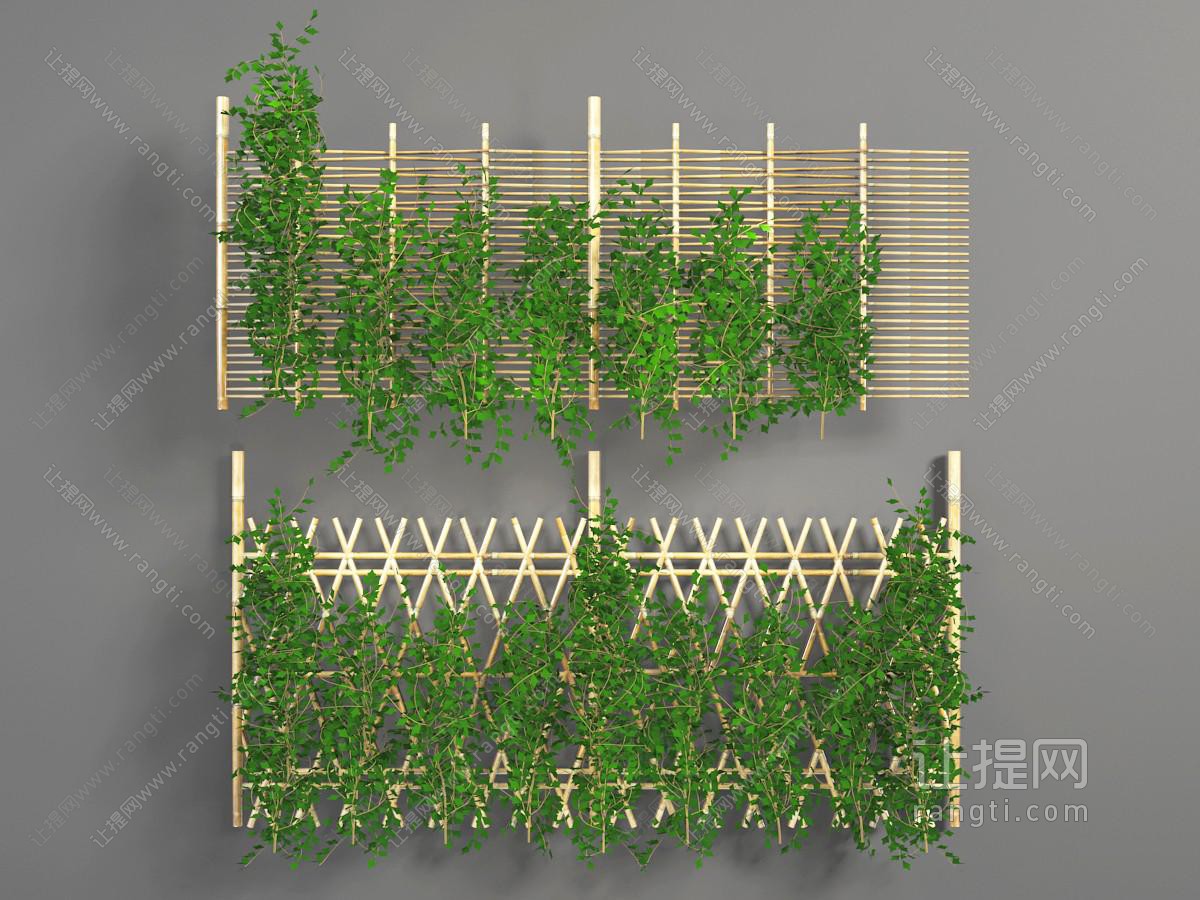 爬满篱笆的藤蔓植物