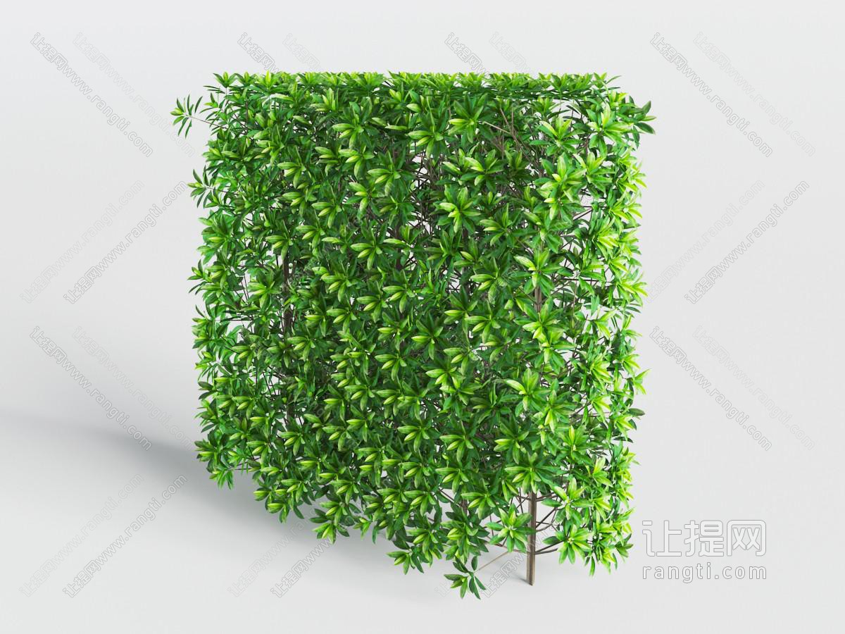 绿植墙