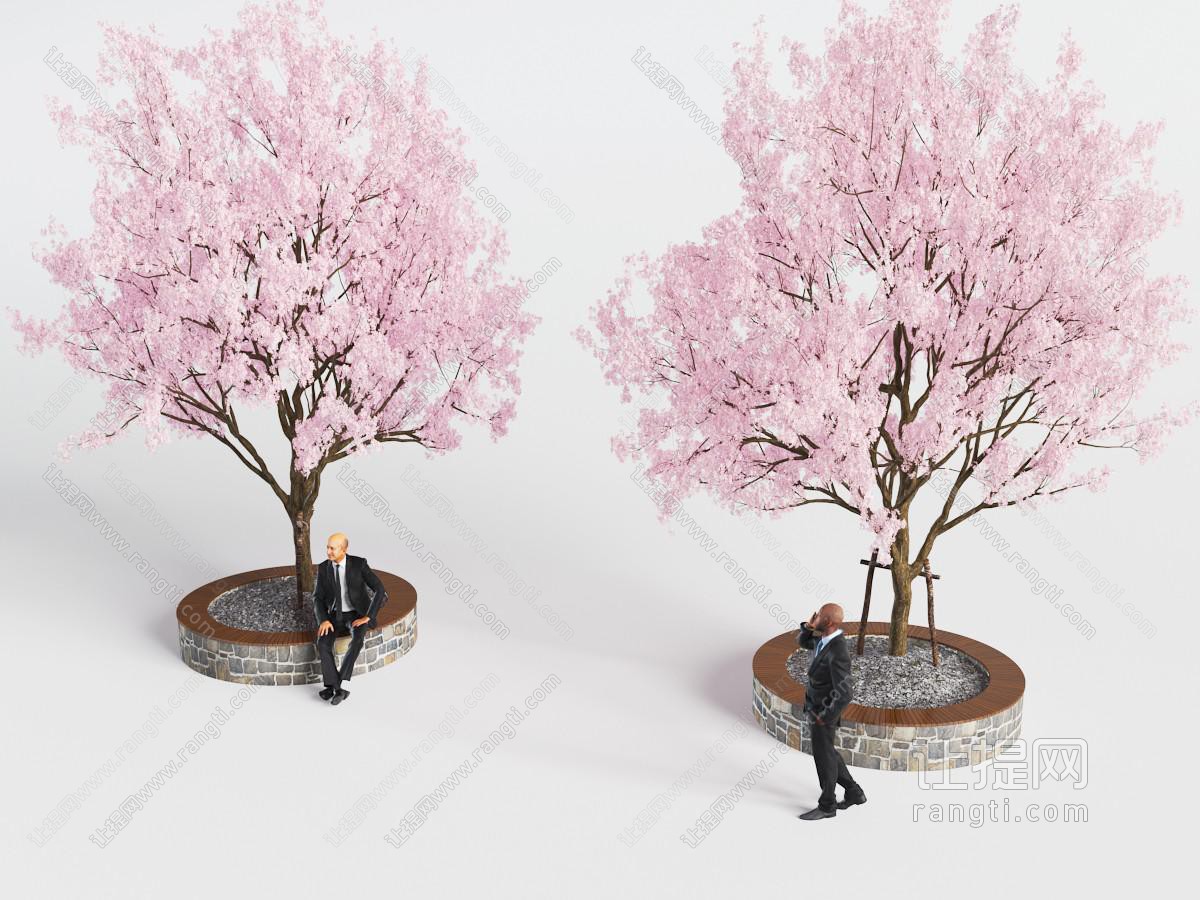 圆形花坛里的开满花朵的景观树木