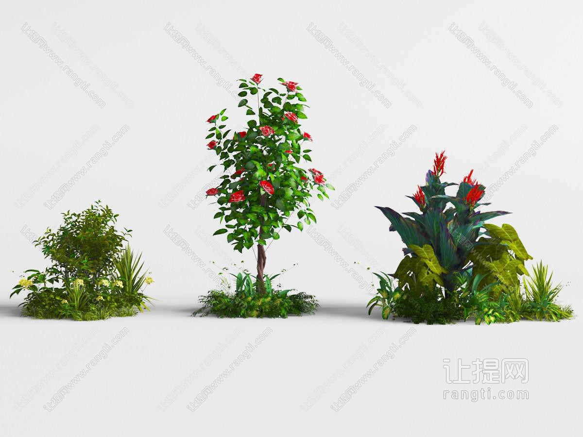 三丛户外花草植物