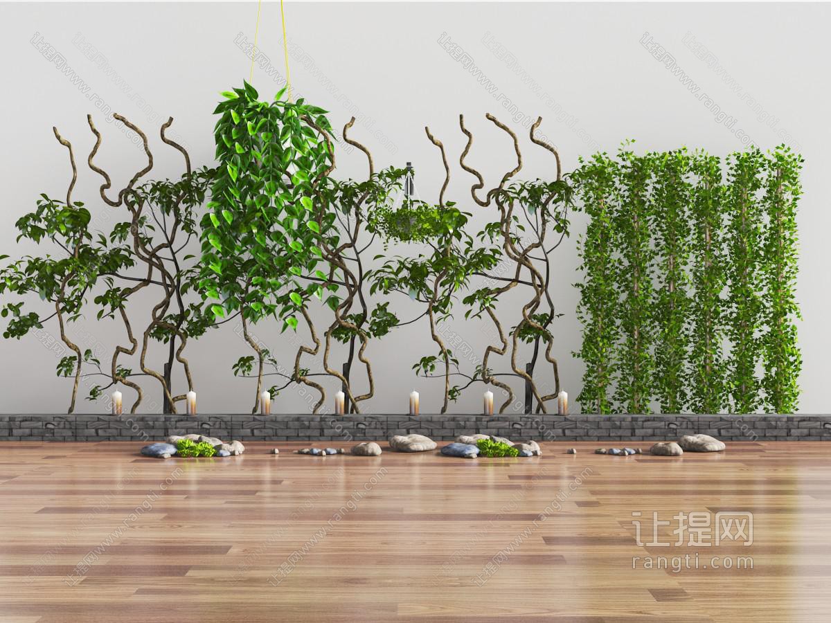 中式庭院藤蔓植物、石头景观小品