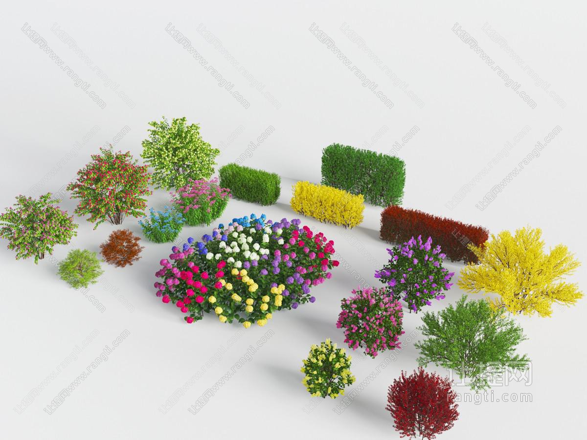 现代地面花草植物