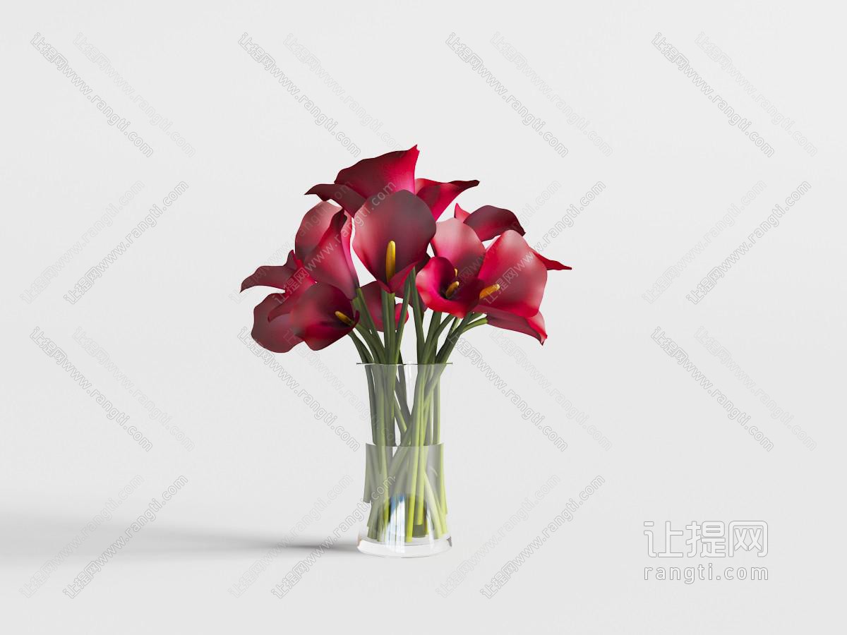 玻璃花瓶里的红色马蹄莲花卉