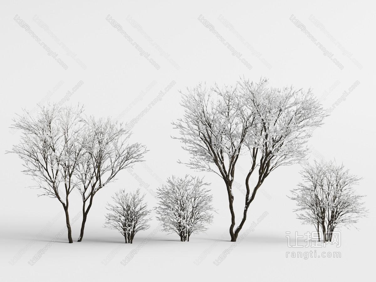 冬季里挂满雪花的树木