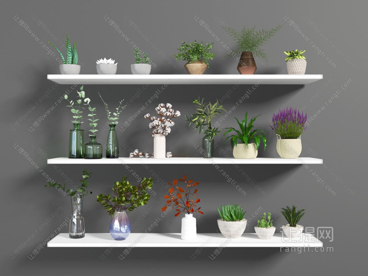 北欧置物架上的花瓶花卉、盆栽植物