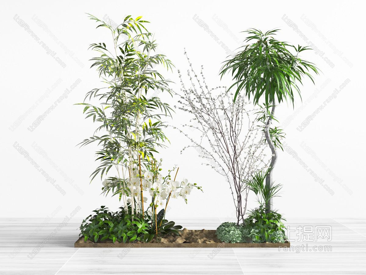 种在花坛里的竹子花草