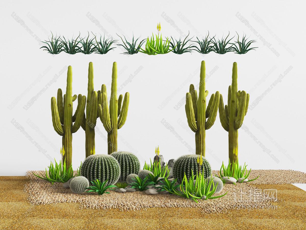种植有仙人球仙人柱石头的景观小品