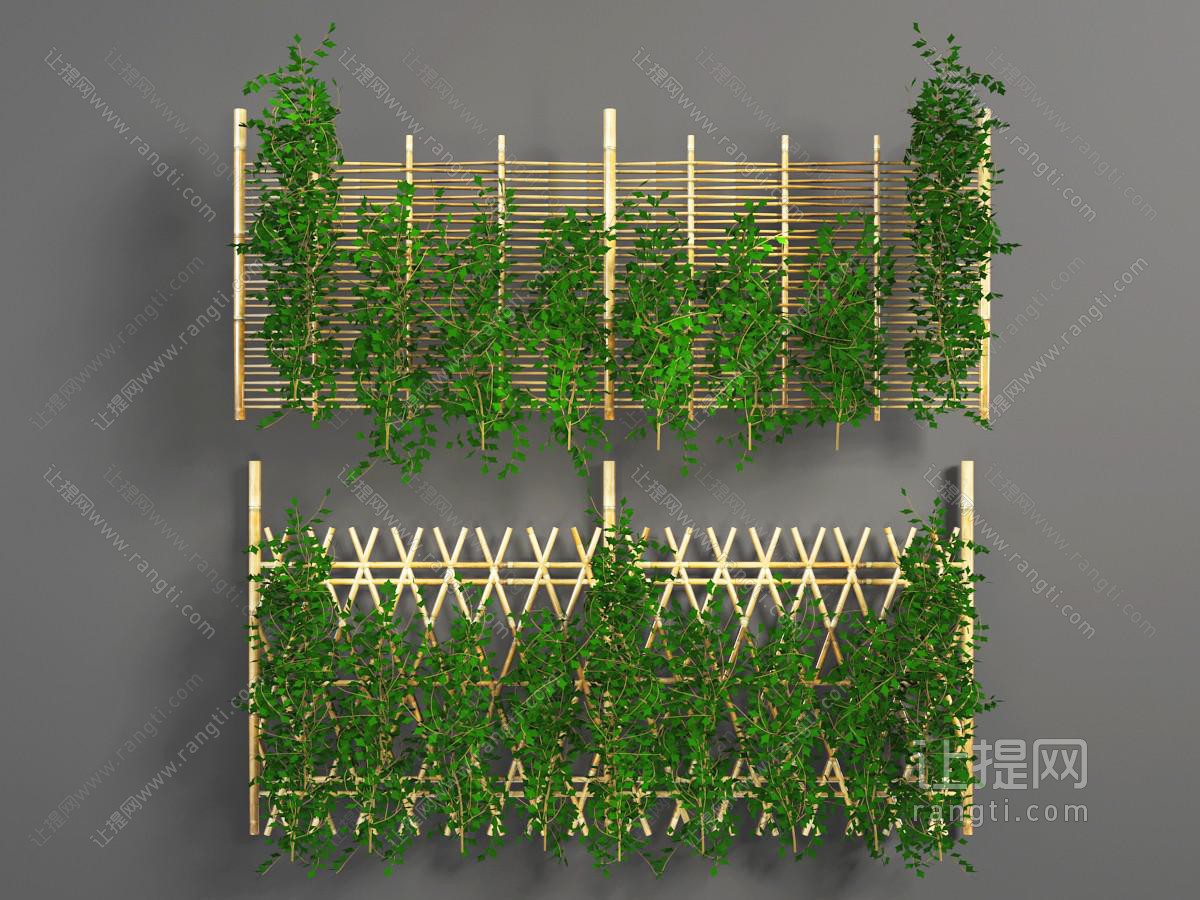 篱笆上的藤蔓植物