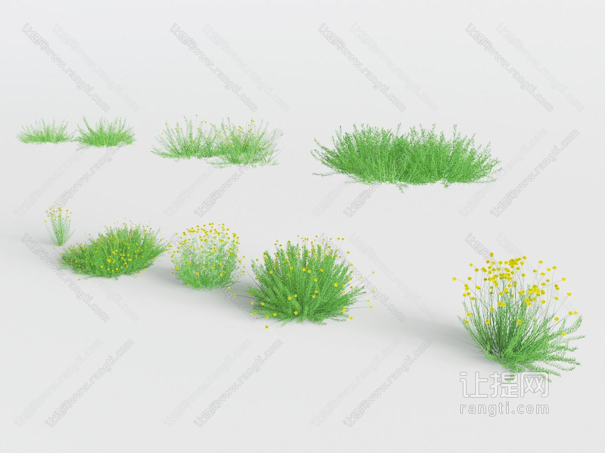 现代花草丛