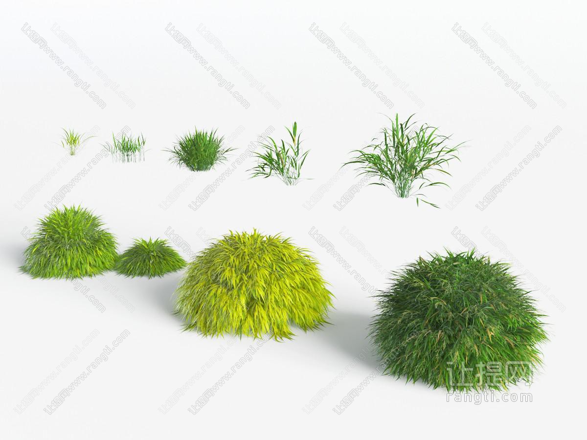 花草植物农作物丛