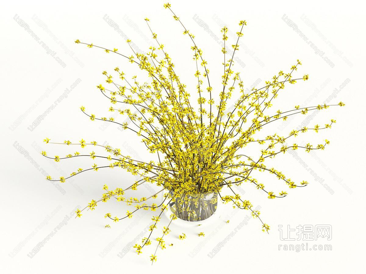 迎春花花瓶花卉
