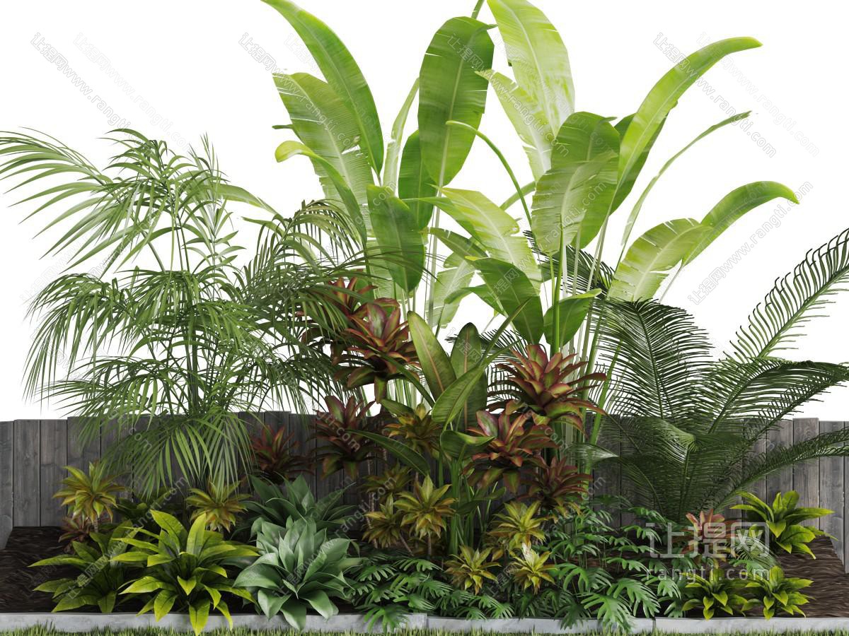 庭院长满花坛里的植物景观小品