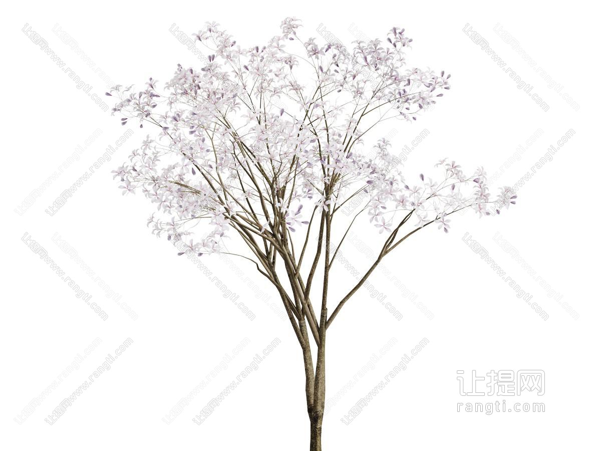 开满桃花的景观树木