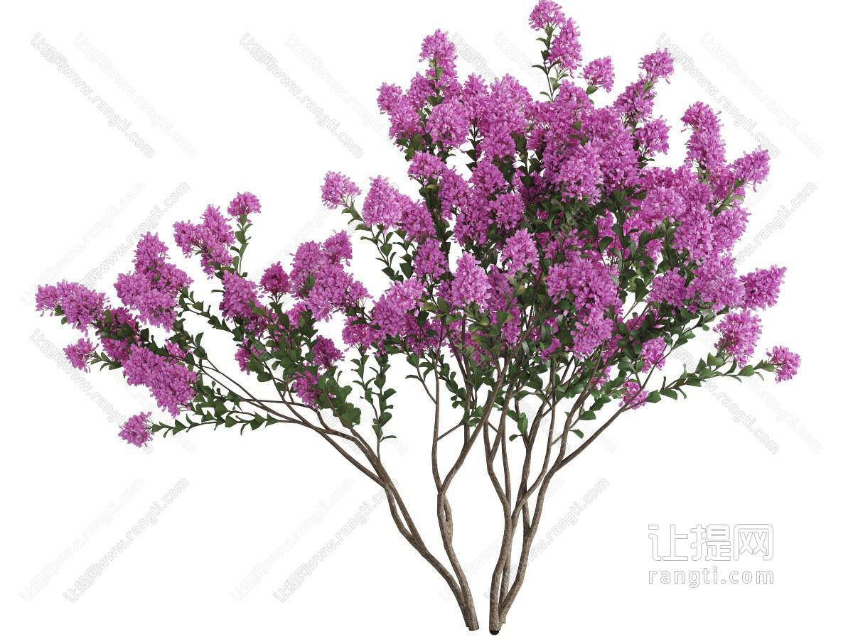 开满红色碎花的景观树木