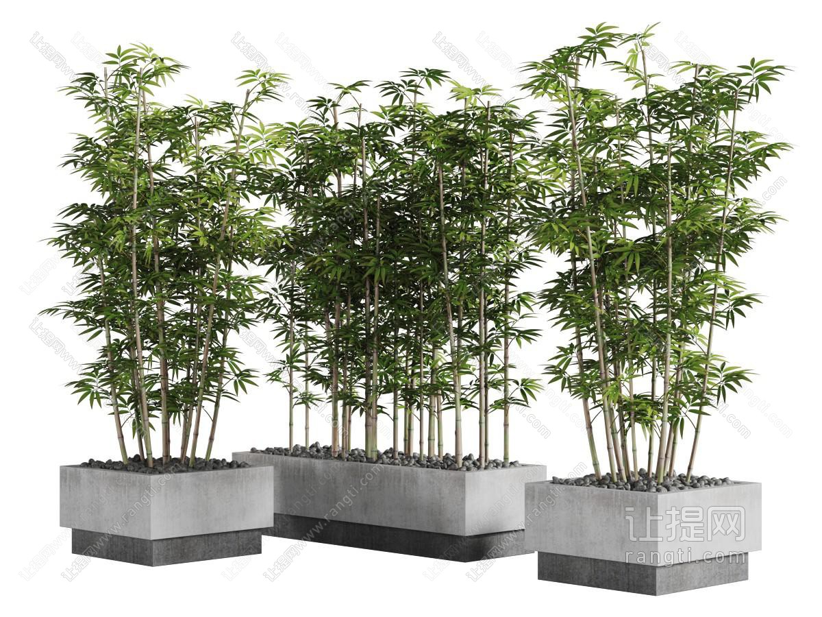 现代花池里的竹子景观小品