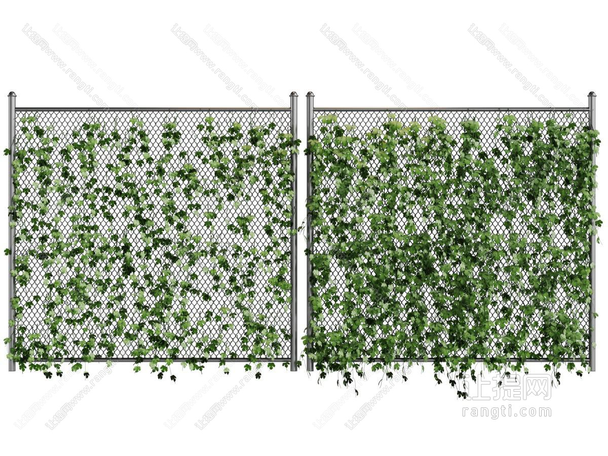 爬满藤蔓植物的金属网