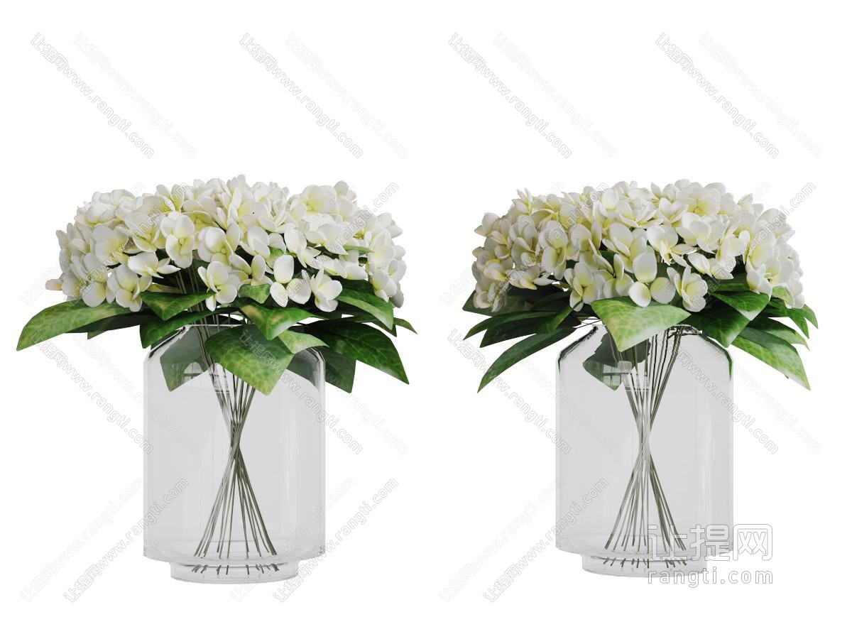 玻璃花瓶里的白色花卉