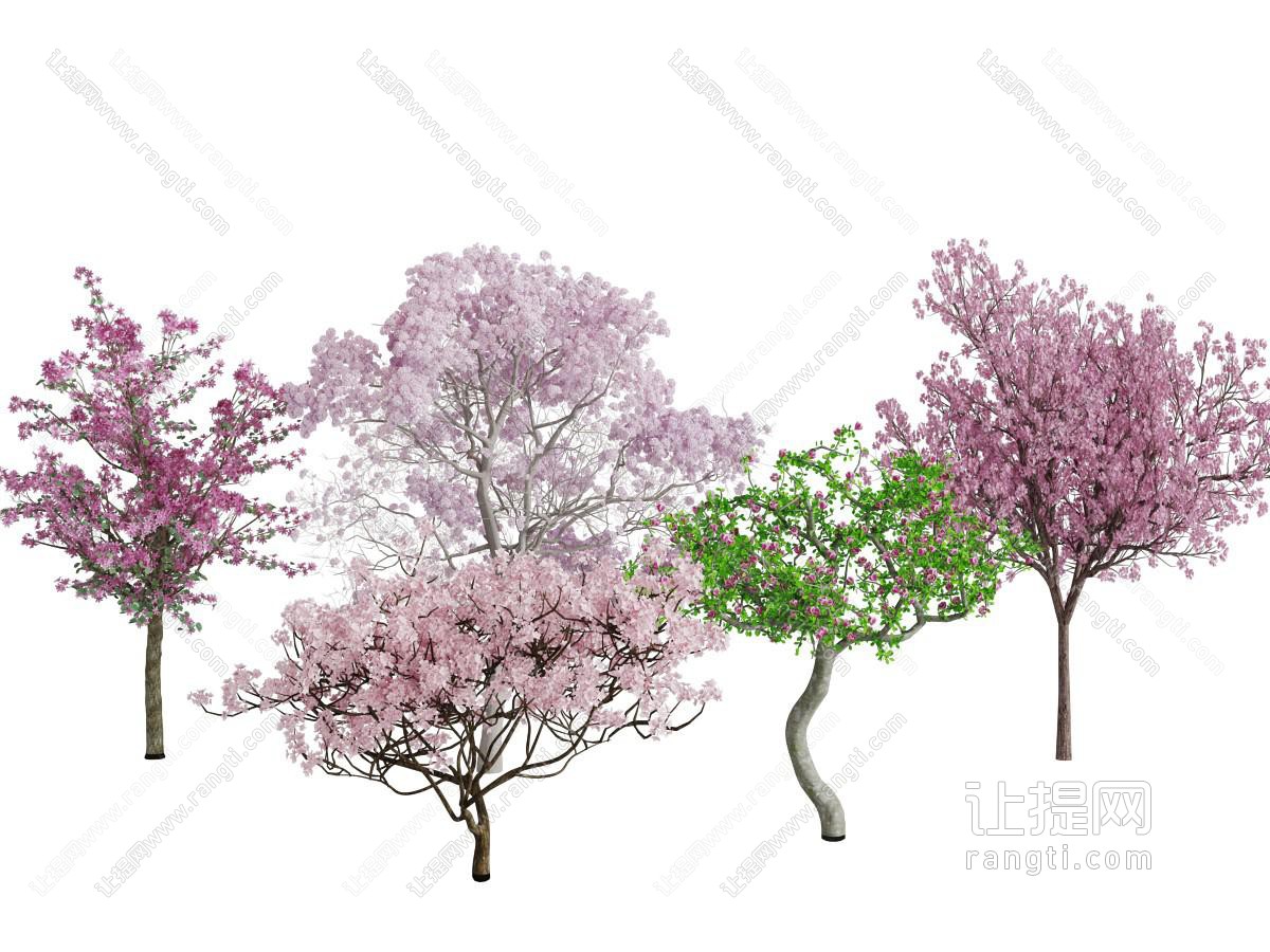 开满花朵的果树花树
