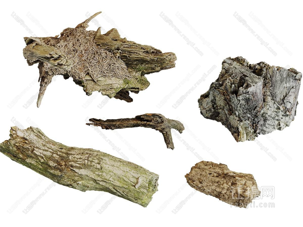 长满青苔的腐朽的枯树枝树桩
