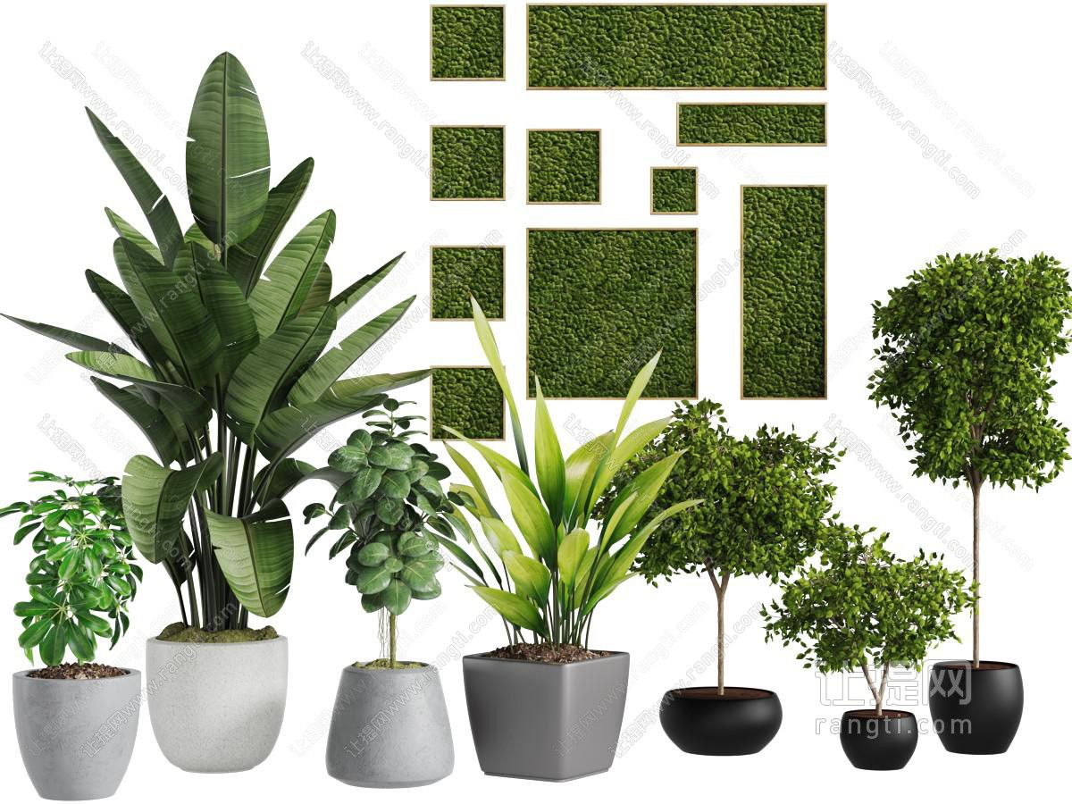 现代花盆盆栽植物植物墙