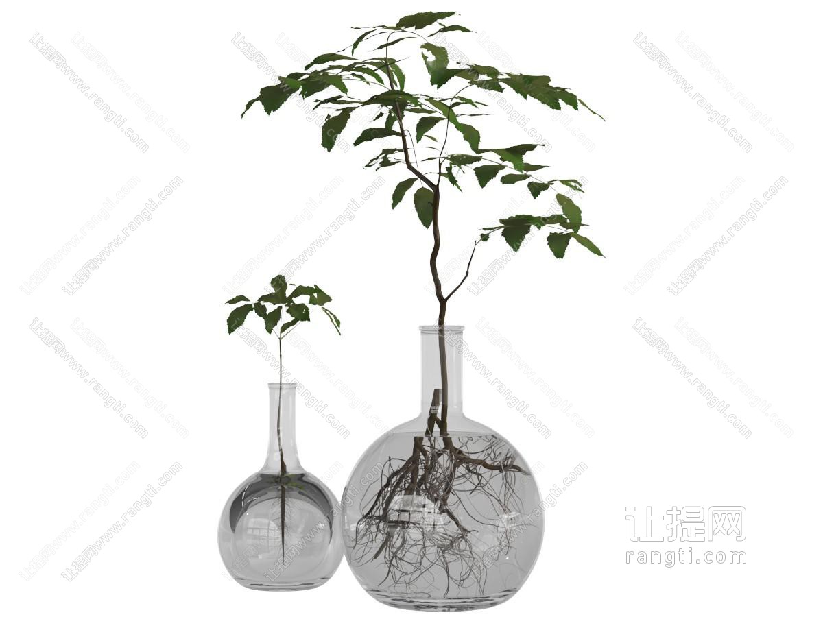 日式大肚花瓶水生植物