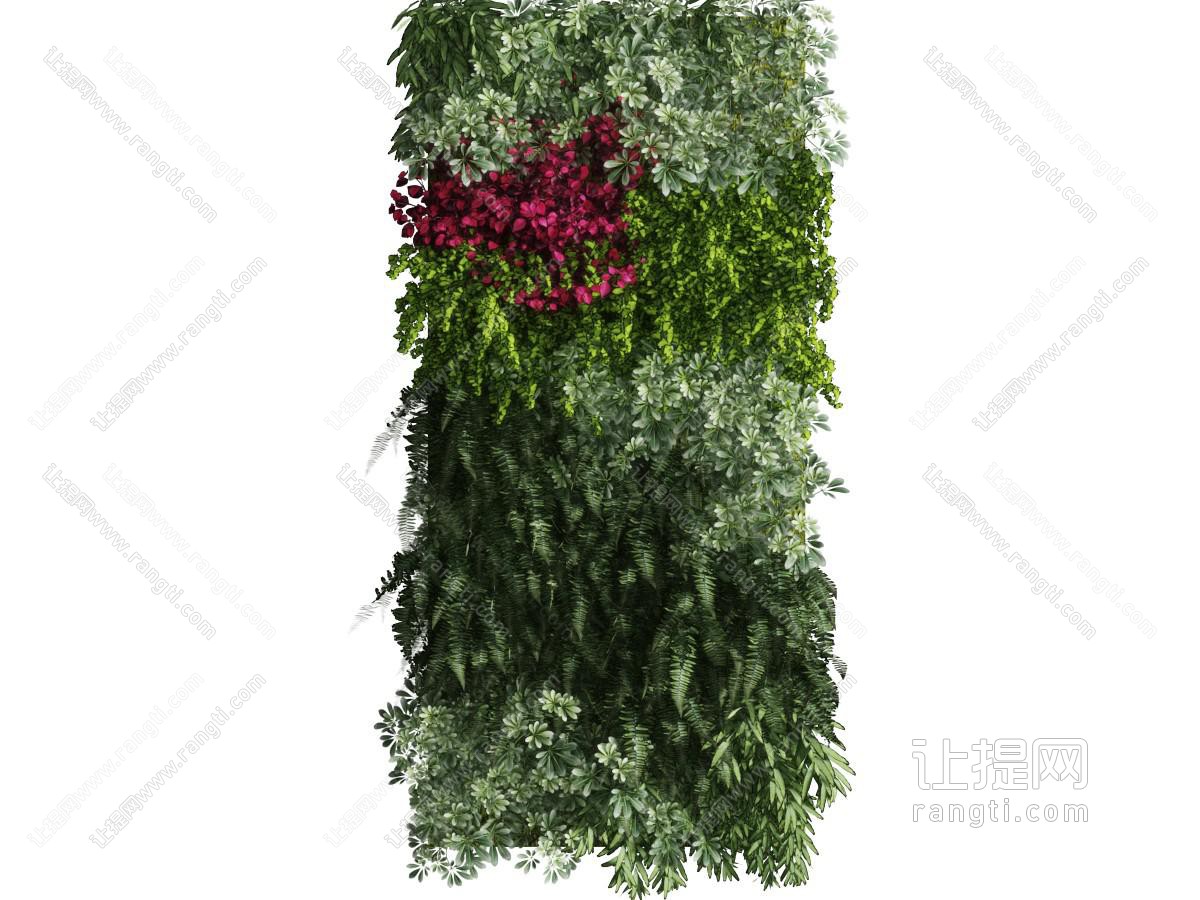 长方形植物墙