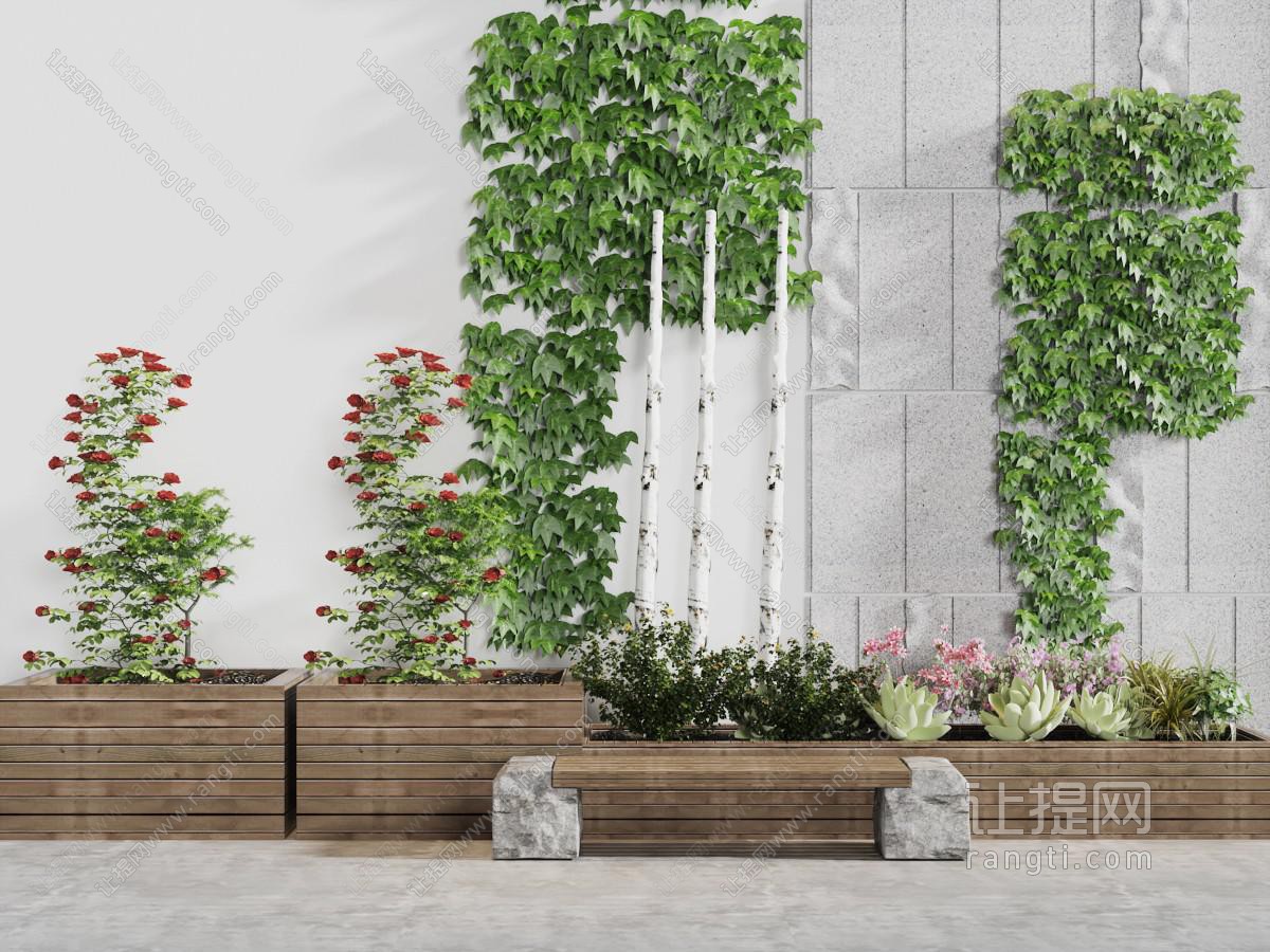 阳台上的藤蔓植物园艺小品
