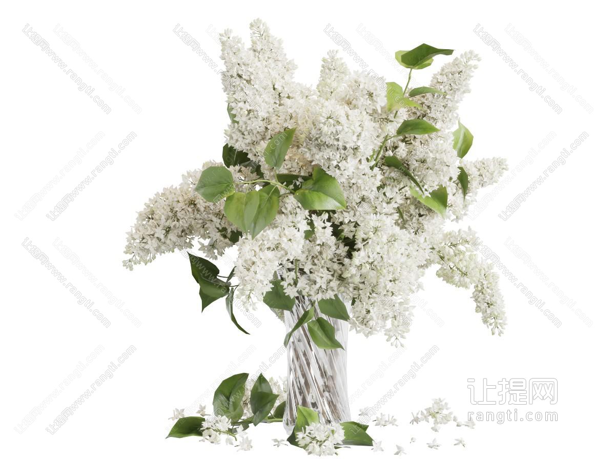 玻璃花瓶花卉
