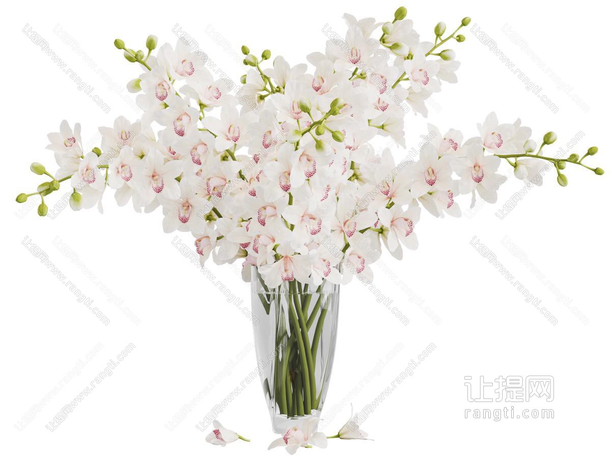 现代玻璃花瓶花卉