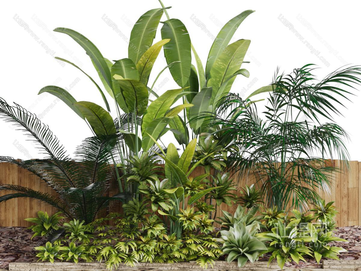 现代植物园艺小品