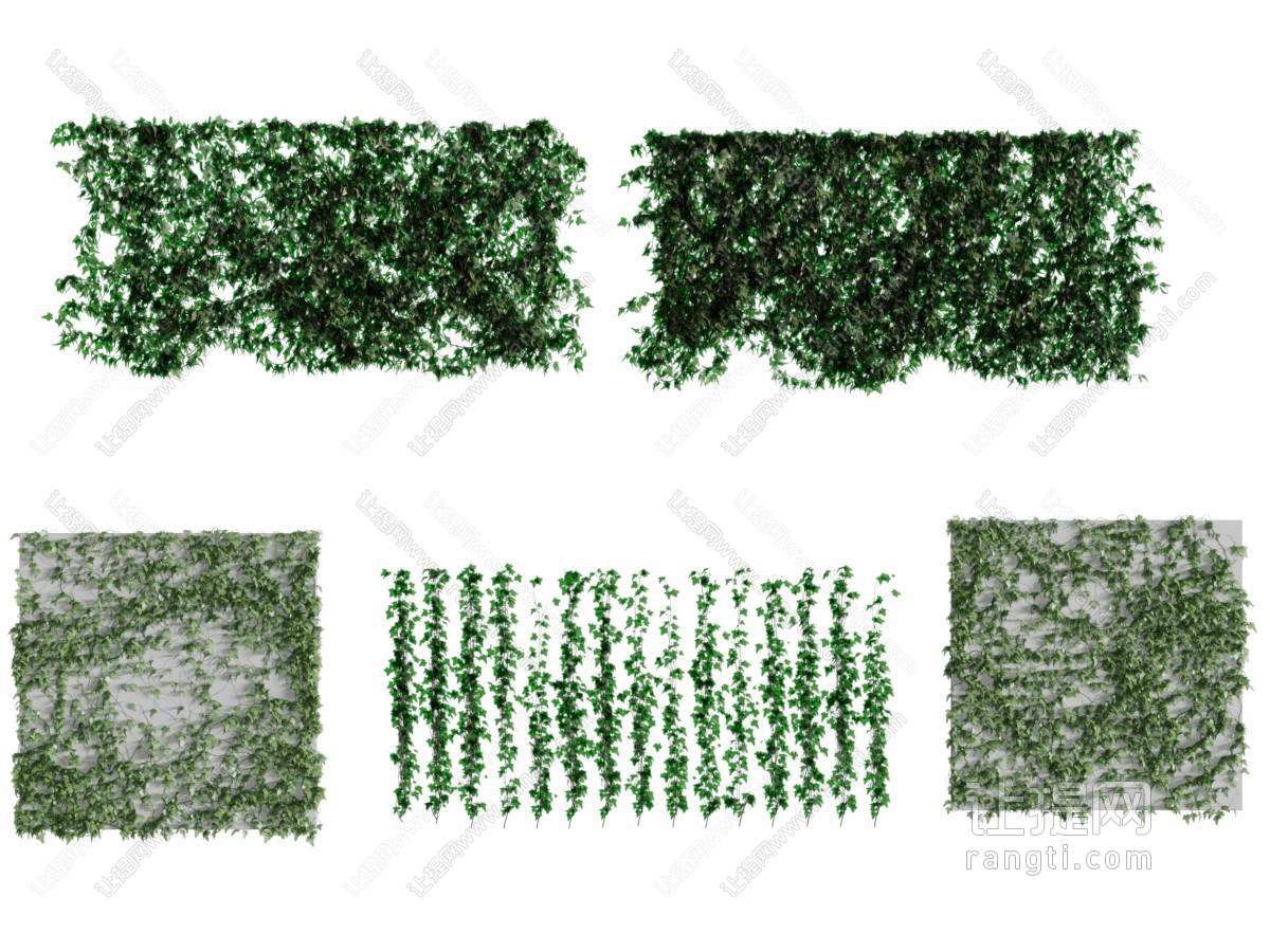 藤蔓爬藤植物墙