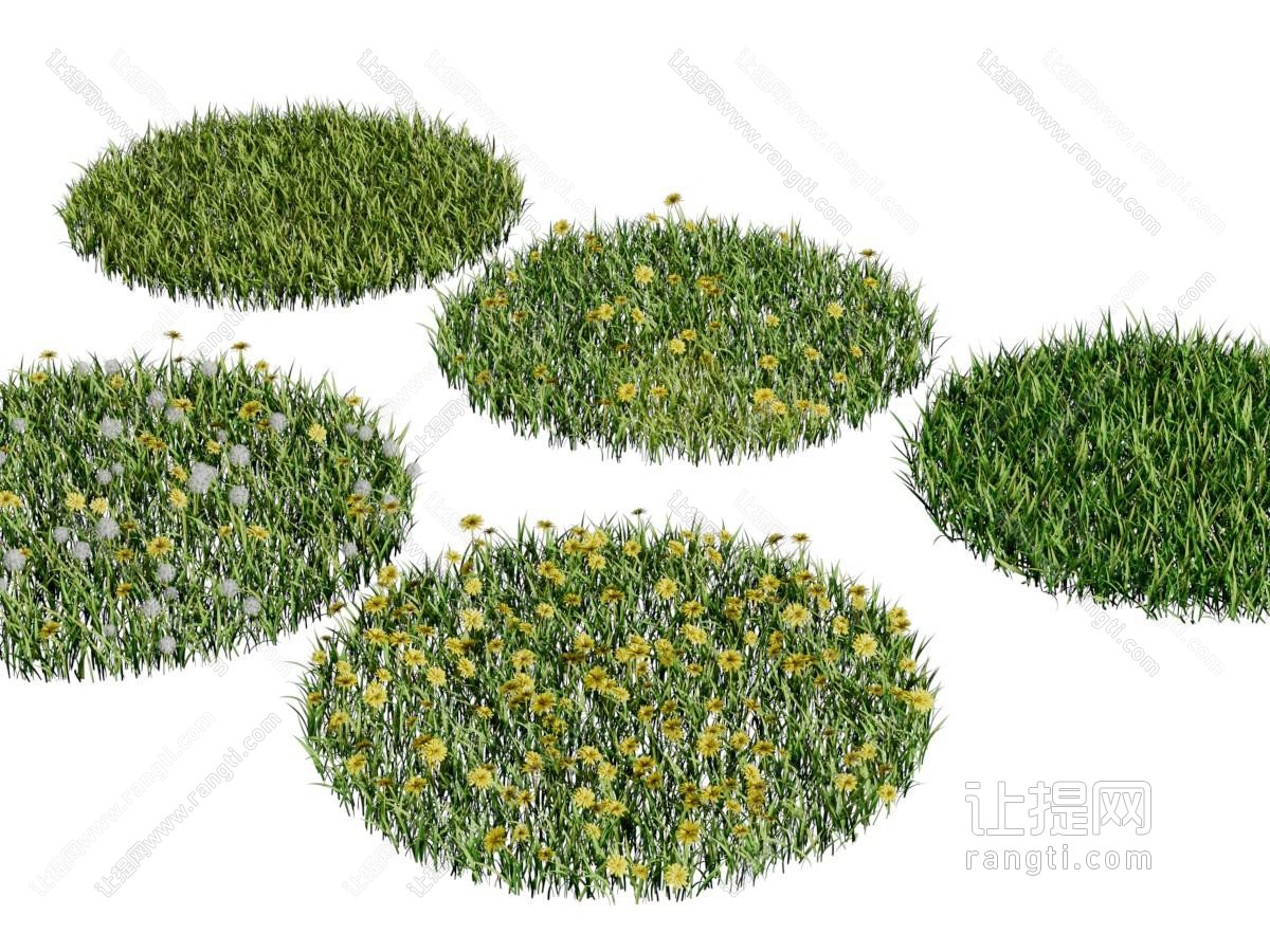 景观花草绿植