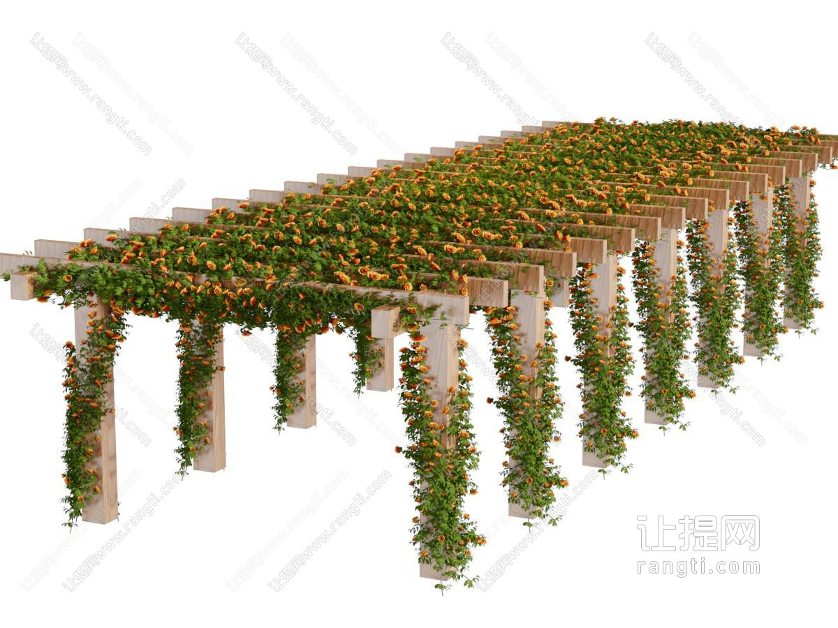 现代户外实木藤蔓植物花架