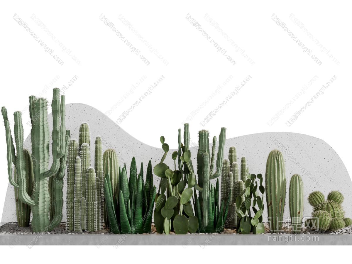 现代仙人掌仙人柱多肉植物园艺小品