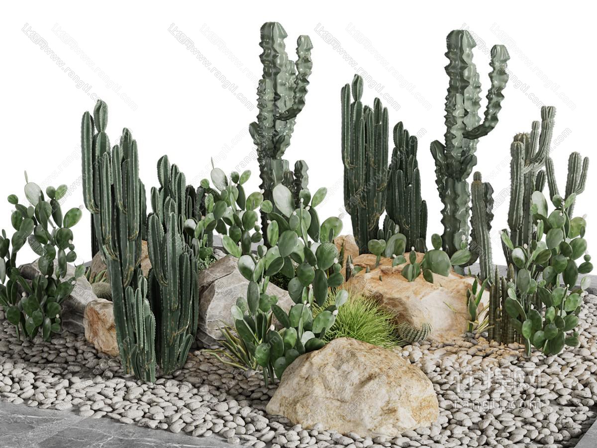 现代多肉植物景观园艺小品